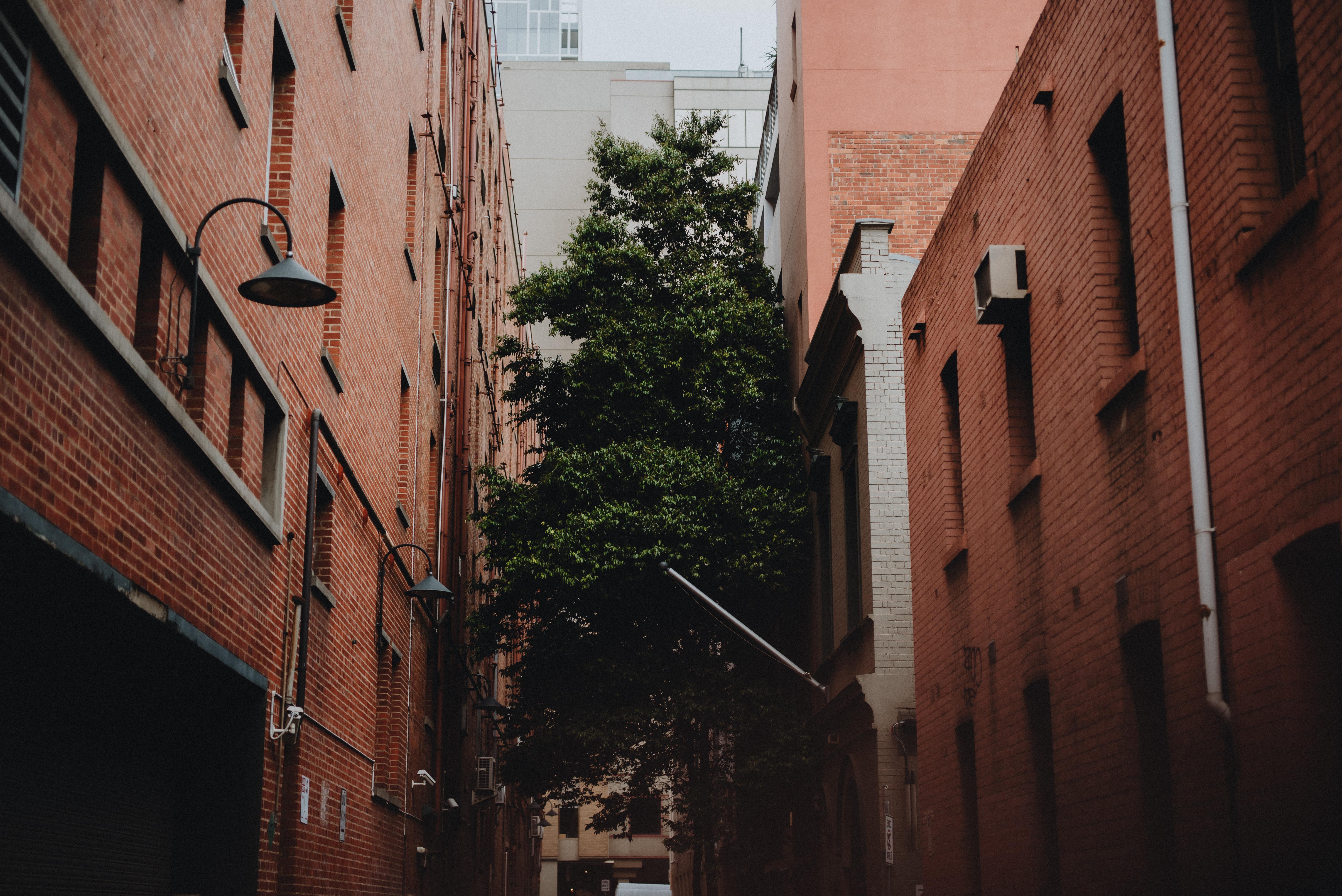 Lancemore Crossley St. Melbourne — Photos 3